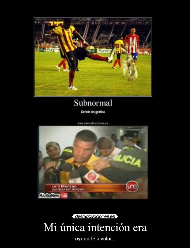 Mi única intención era -