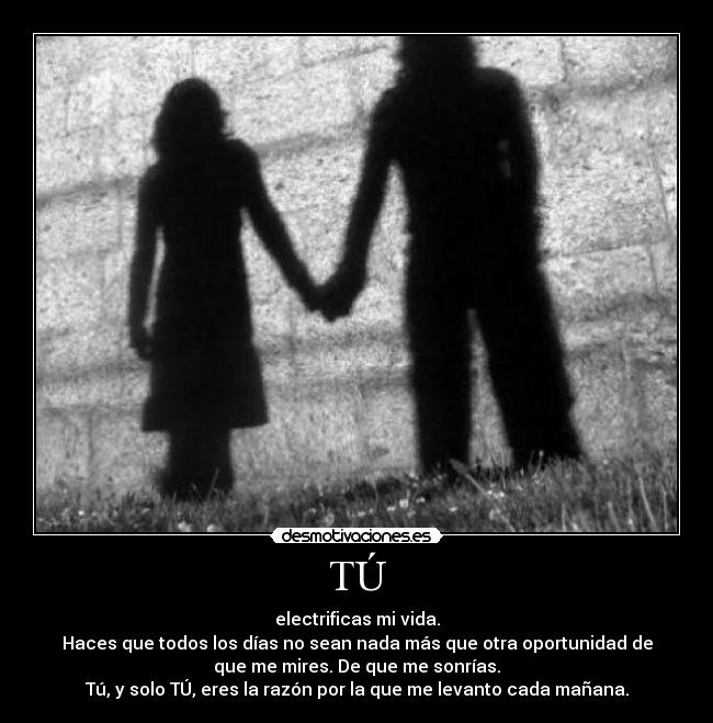 TÚ - electrificas mi vida.
Haces que todos los días no sean nada más que otra oportunidad de
que me mires. De que me sonrías.
Tú, y solo TÚ, eres la razón por la que me levanto cada mañana.