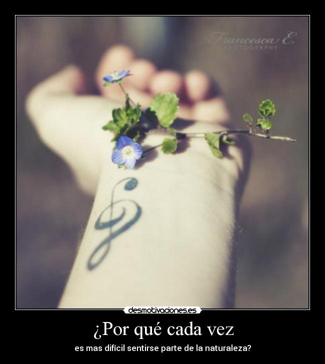 ¿Por qué cada vez - 