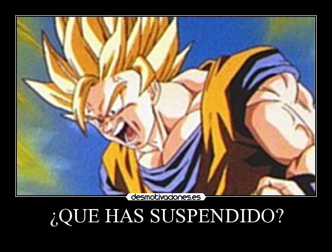 ¿QUE HAS SUSPENDIDO? -