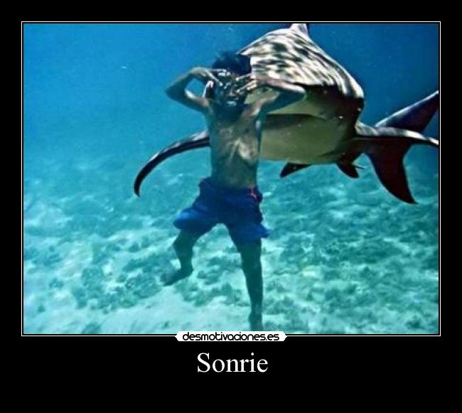 Sonrie - 