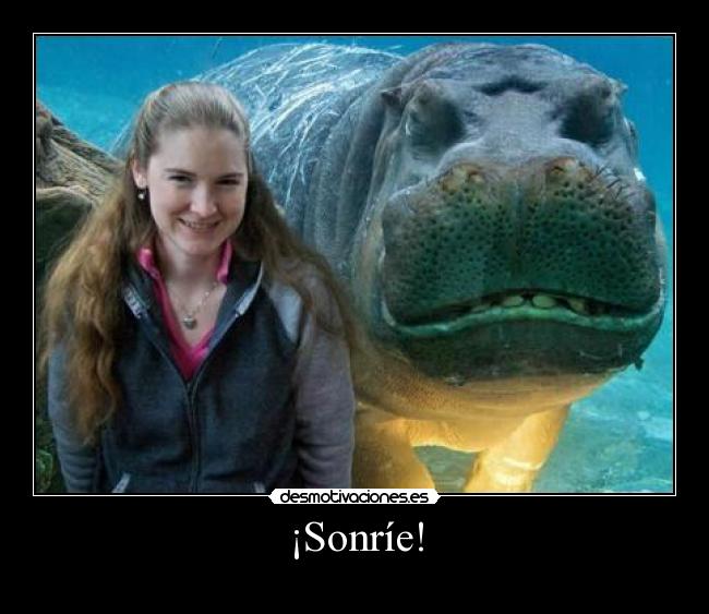 carteles hipopotamo sonrie motiva desmotivaciones