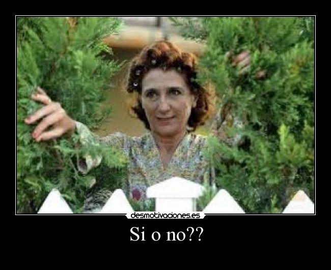 Si o no?? -