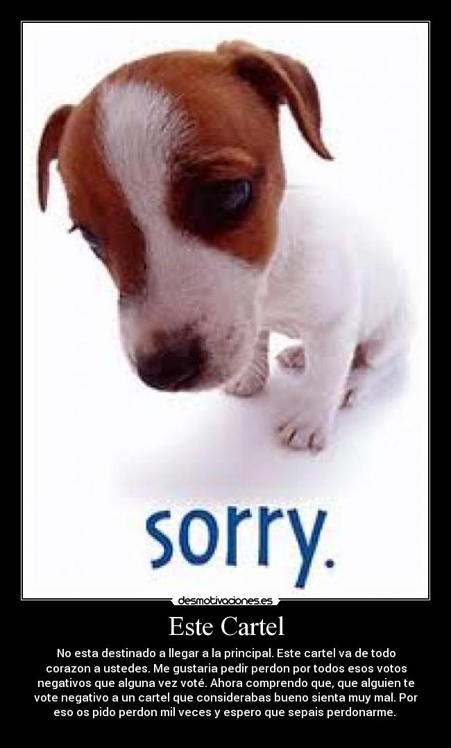 carteles perdon desmotivaciones