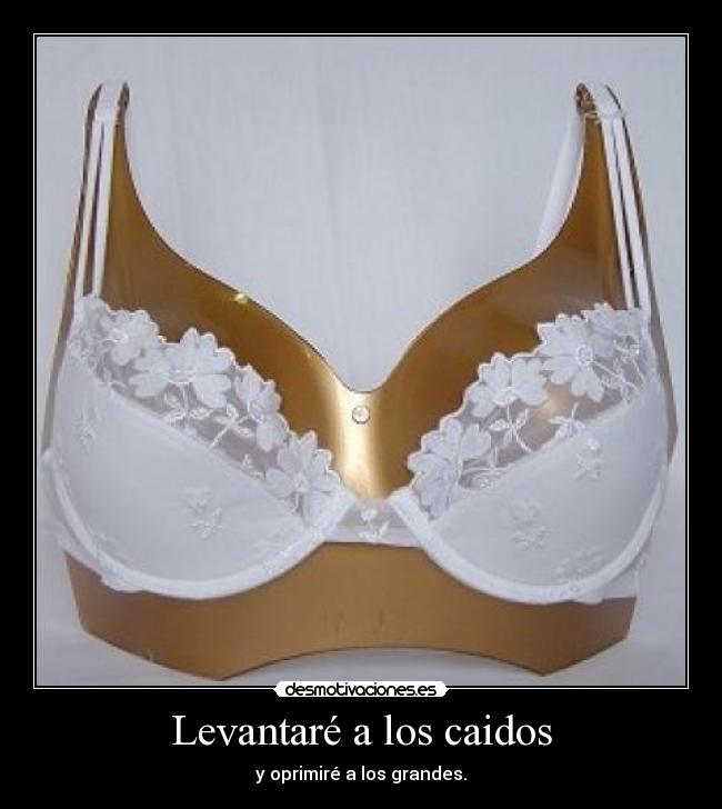 Levantaré a los caidos -