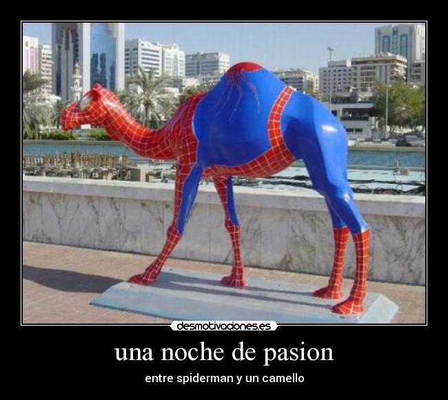 una noche de pasion -