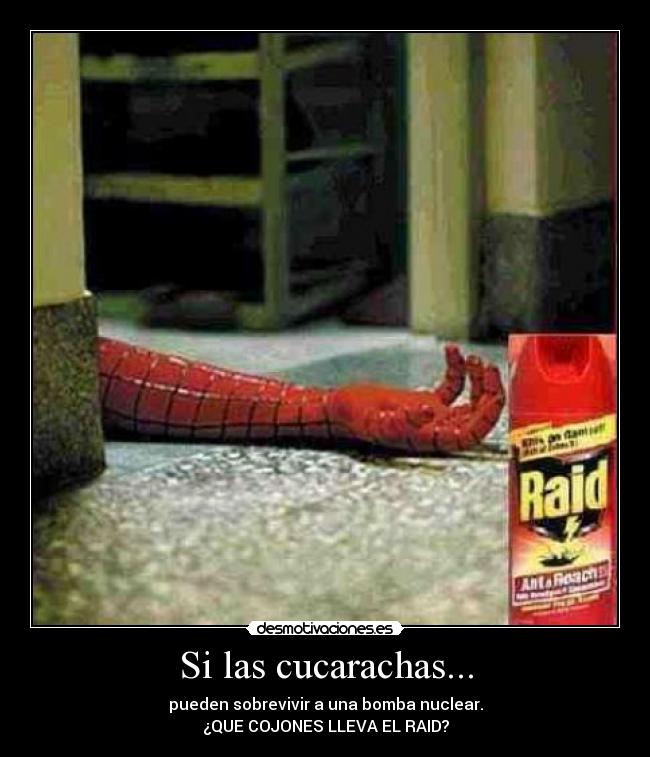 carteles cucarachas desmotivaciones