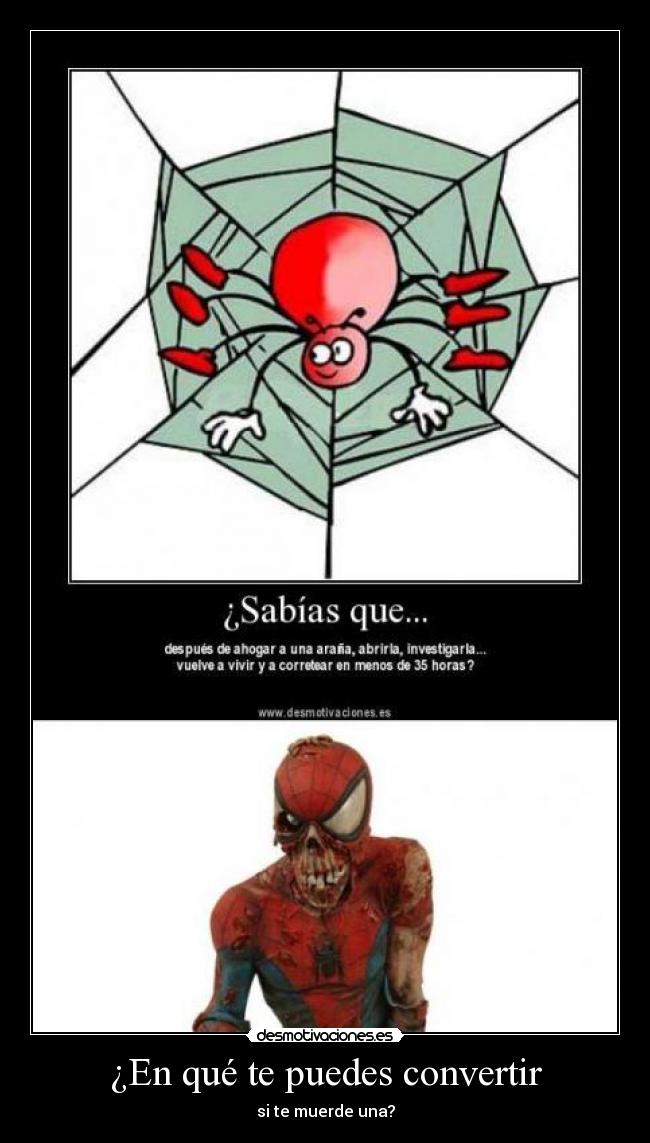 carteles spiderman zombi desmotivaciones