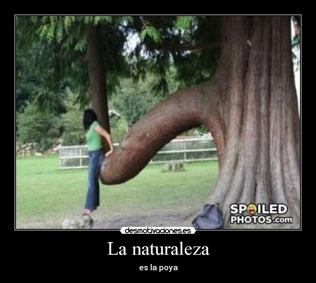 La naturaleza - es la poya