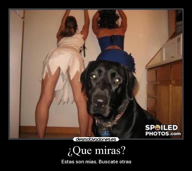 ¿Que miras? -