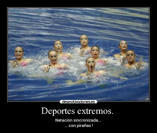 Deportes extremos.  - Natación sincronizada... 
... con pirañas !