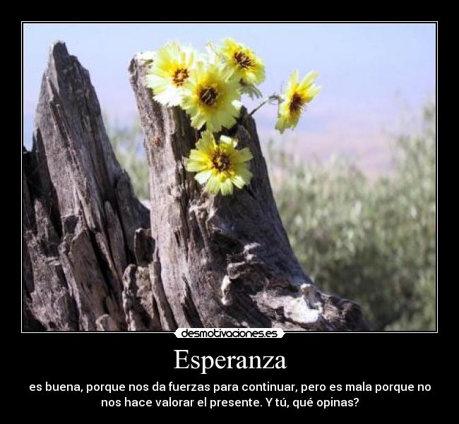 carteles esperanza hecho una pregunta desmotivaciones