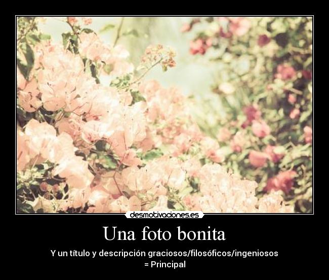 Una foto bonita - 
