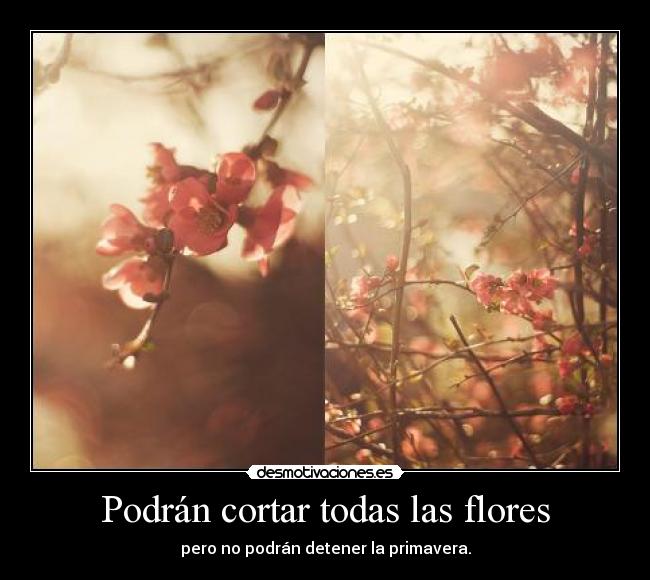 Podrán cortar todas las flores - pero no podrán detener la primavera.