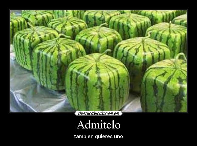 carteles tags desmotivaciones