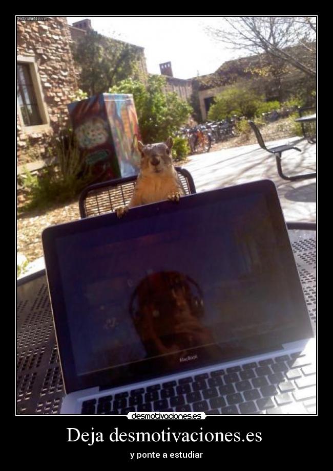 Deja desmotivaciones.es  - 