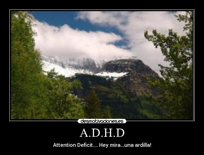 A.D.H.D - Attention Deficit.... Hey mira...una ardilla!