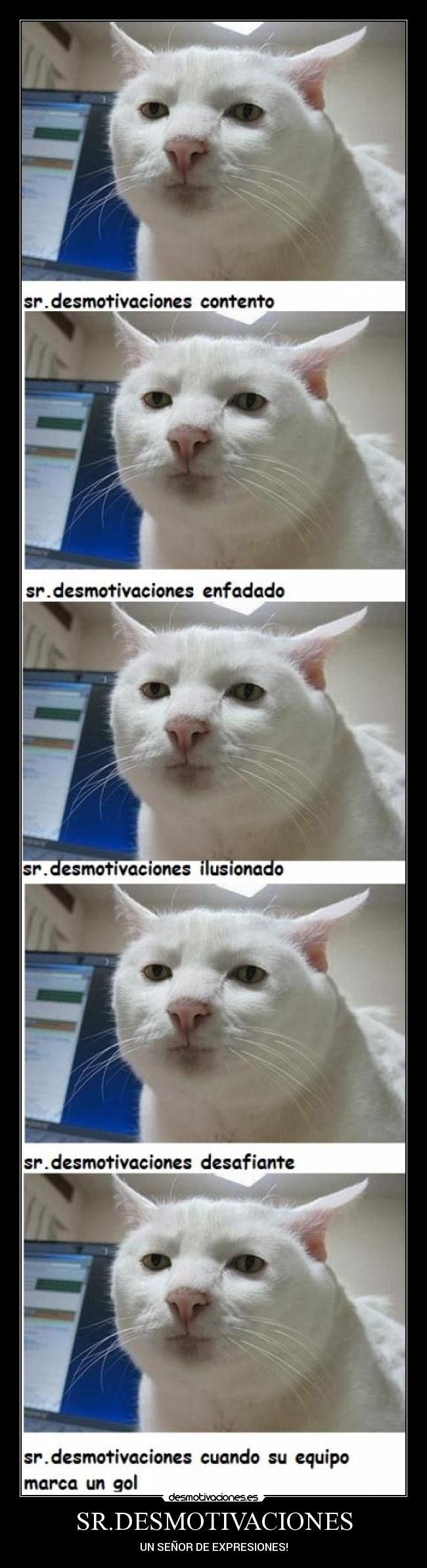 SR.DESMOTIVACIONES - UN SEÑOR DE EXPRESIONES!