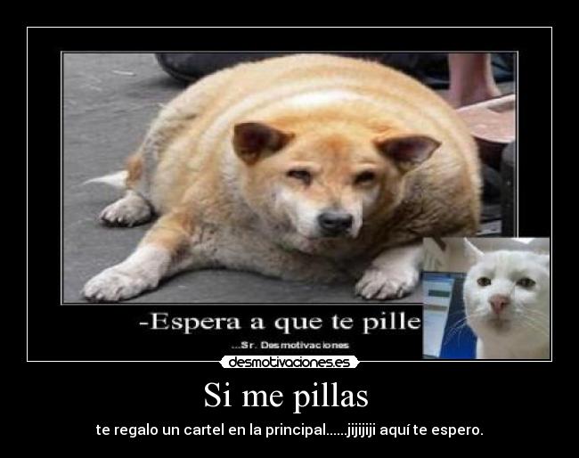 carteles wiki_2652 desmotivaciones