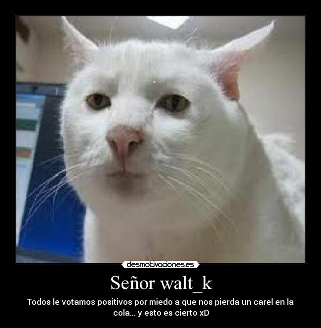 Señor walt_k - 