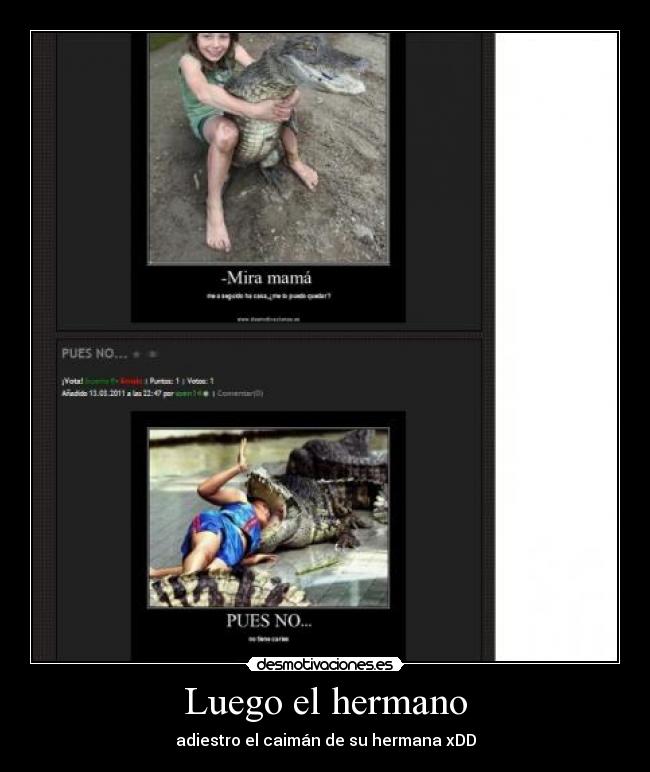 Luego el hermano - adiestro el caimán de su hermana xDD