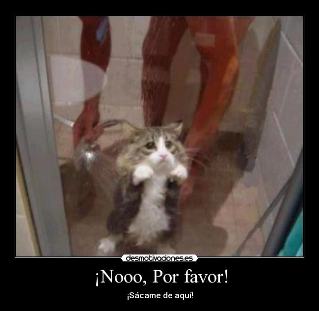 ¡Nooo, Por favor! - 