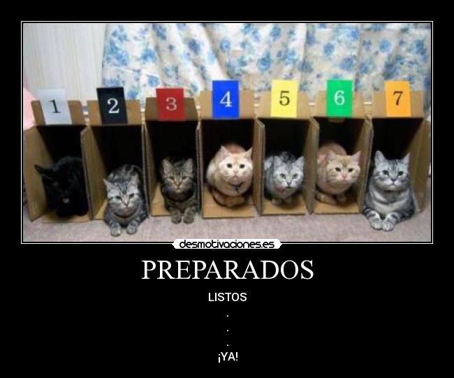 PREPARADOS - LISTOS
.
.
.
¡YA!