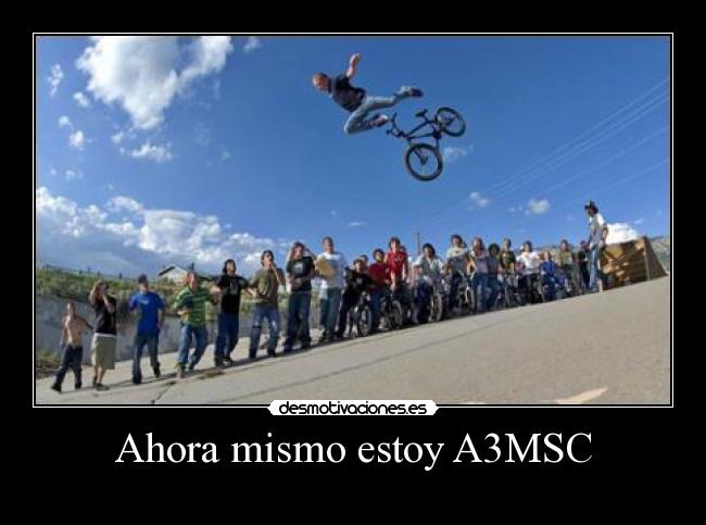 Ahora mismo estoy A3MSC - 