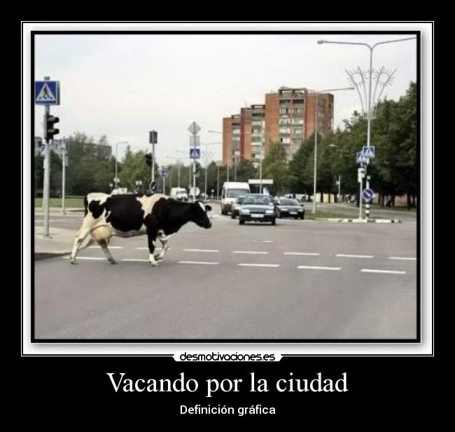 Vacando por la ciudad -