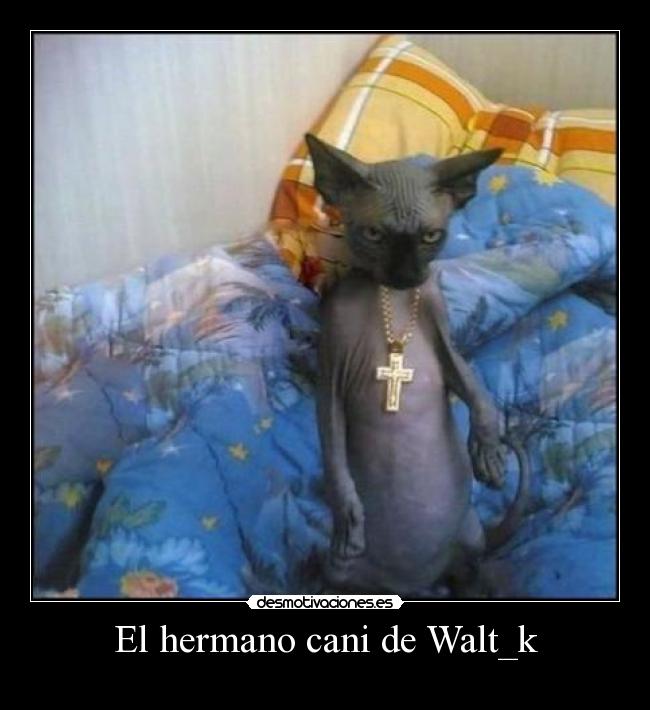 El hermano cani de Walt_k - 