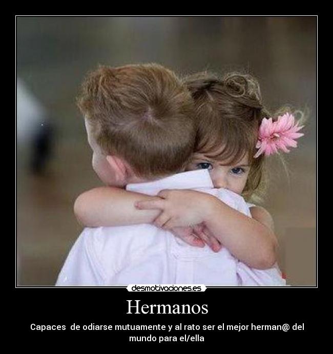 carteles amistad desmotivaciones