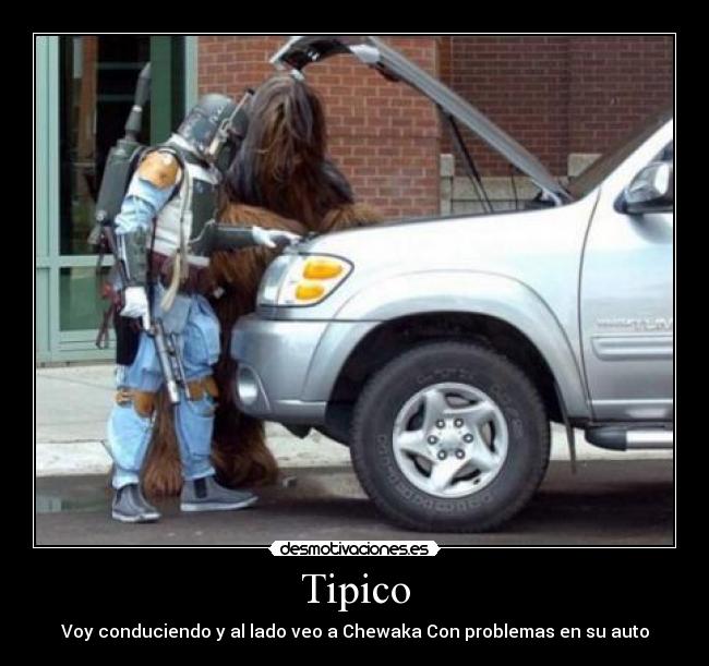 Tipico - 