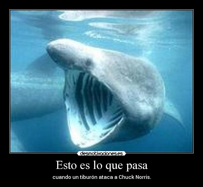 Esto es lo que pasa -