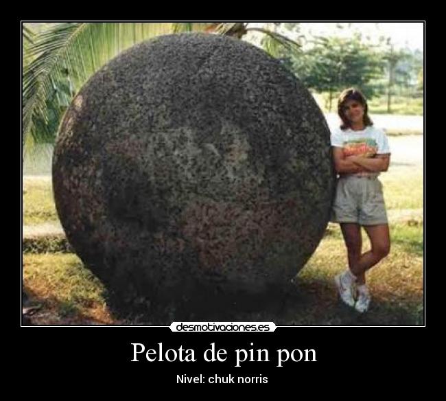 Pelota de pin pon -