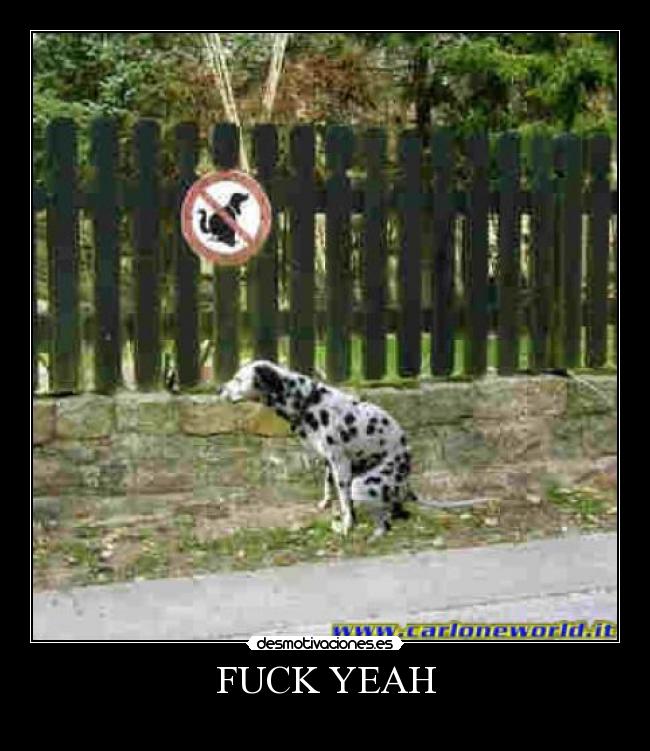 FUCK YEAH - 