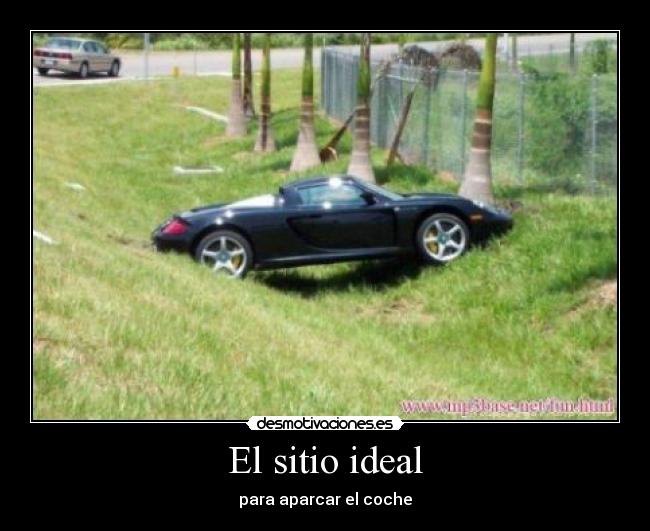 El sitio ideal -
