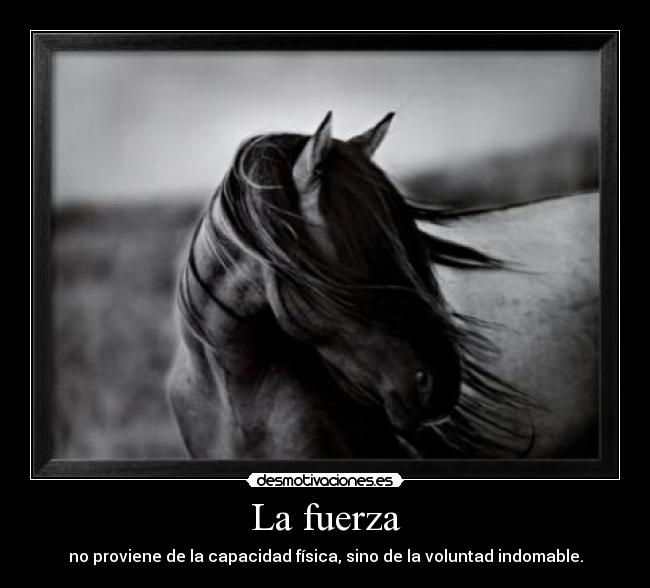 La fuerza -
