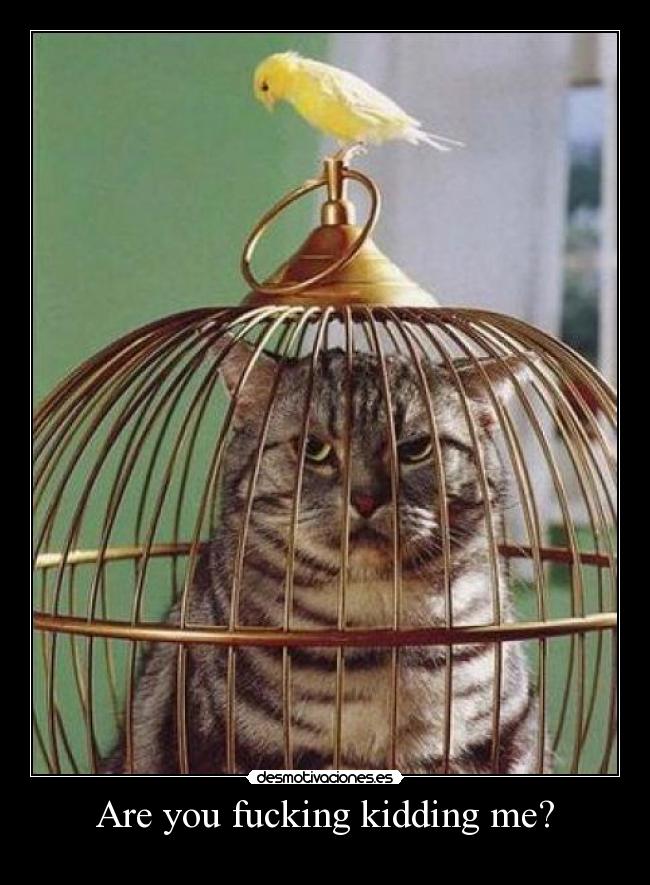 Are you fucking kidding me? -