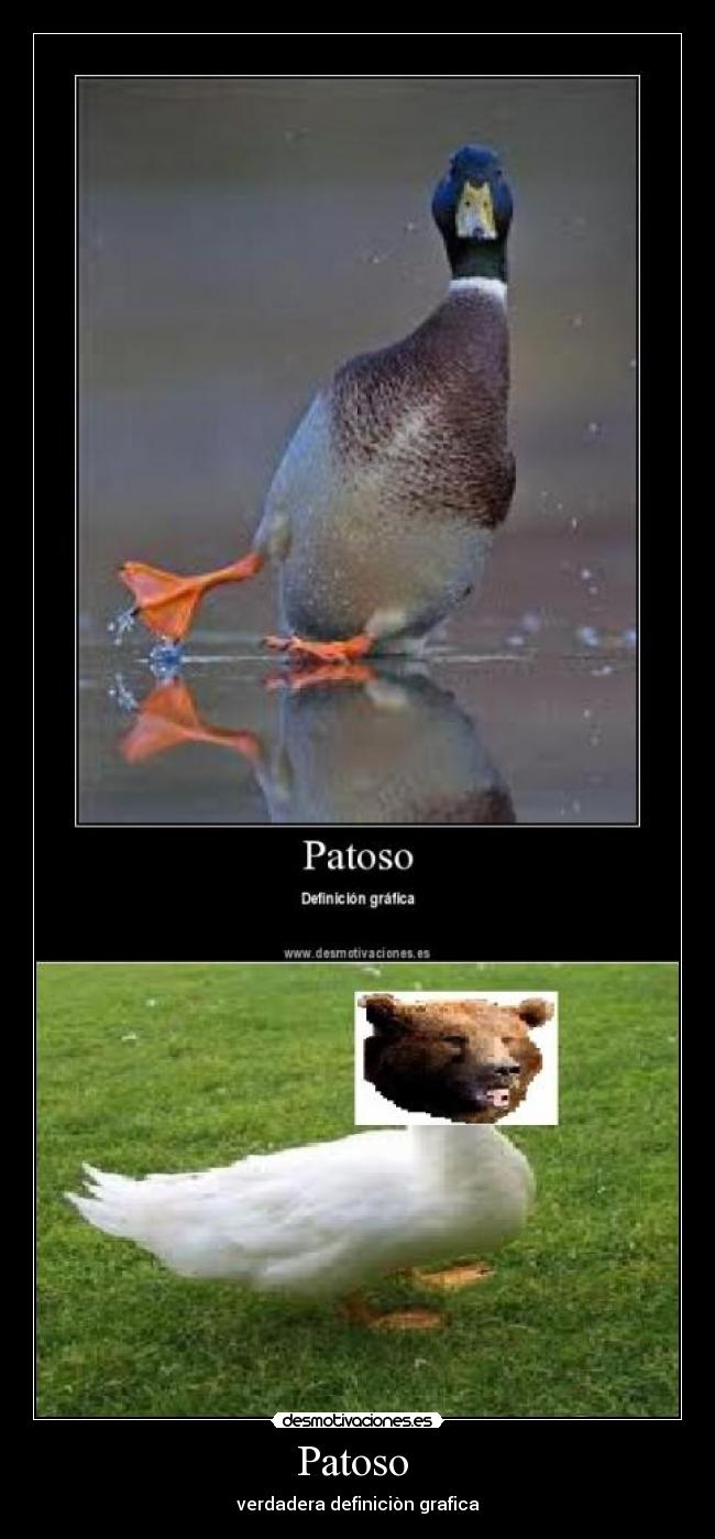 Patoso -
