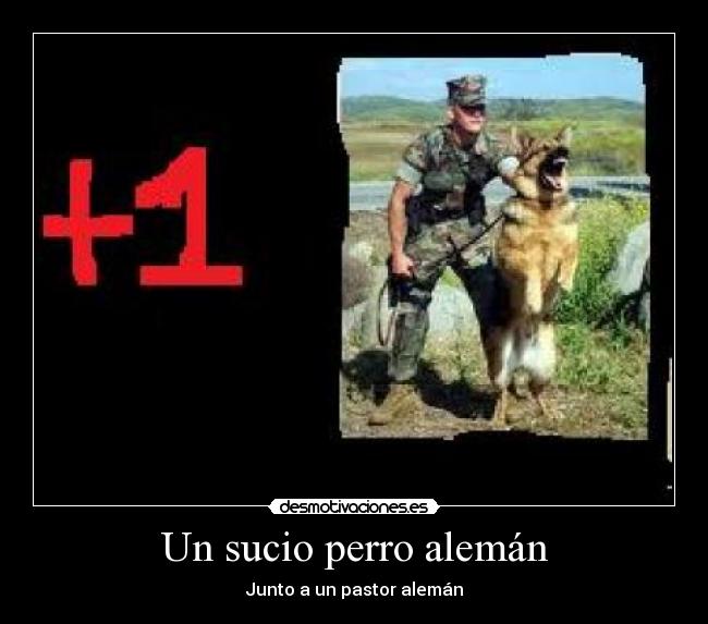 Un sucio perro alemán -