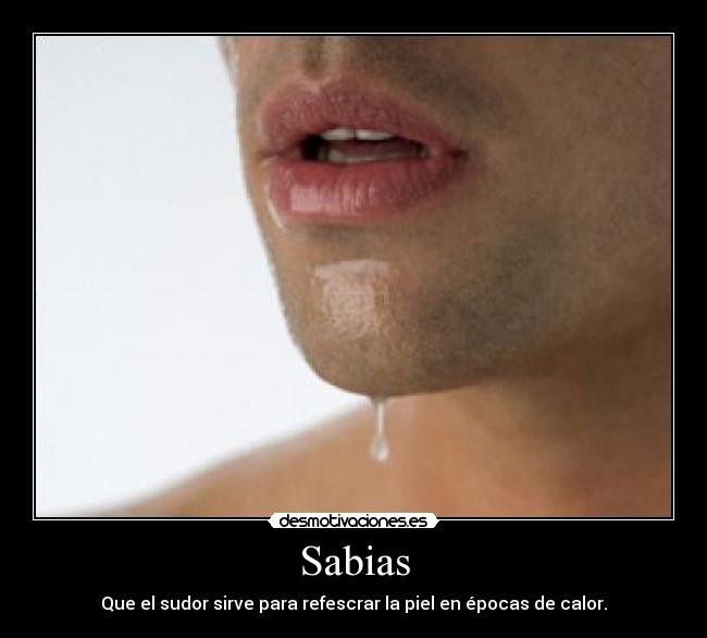 Sabias - Que el sudor sirve para refescrar la piel en épocas de calor.