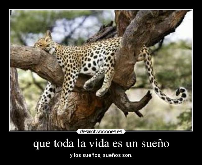 que toda la vida es un sueño - y los sueños, sueños son.