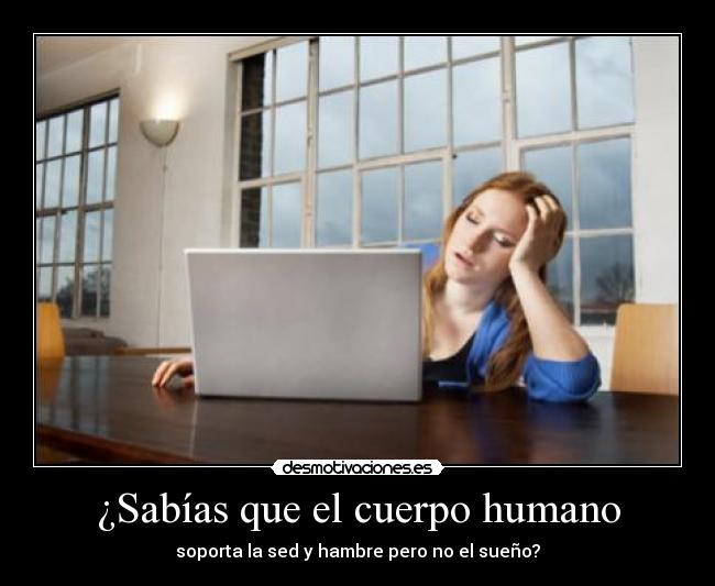 ¿Sabías que el cuerpo humano -