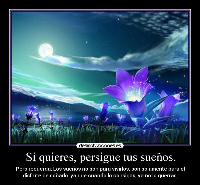 Si quieres, persigue tus sueños. - Pero recuerda: Los sueños no son para vivirlos. son solamente para el
disfrute de soñarlo. ya que cuando lo consigas, ya no lo querrás.