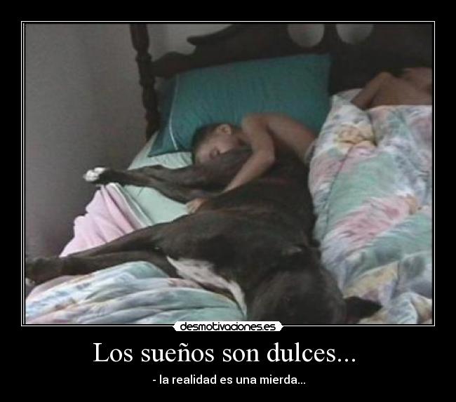 Los sueños son dulces...  - 