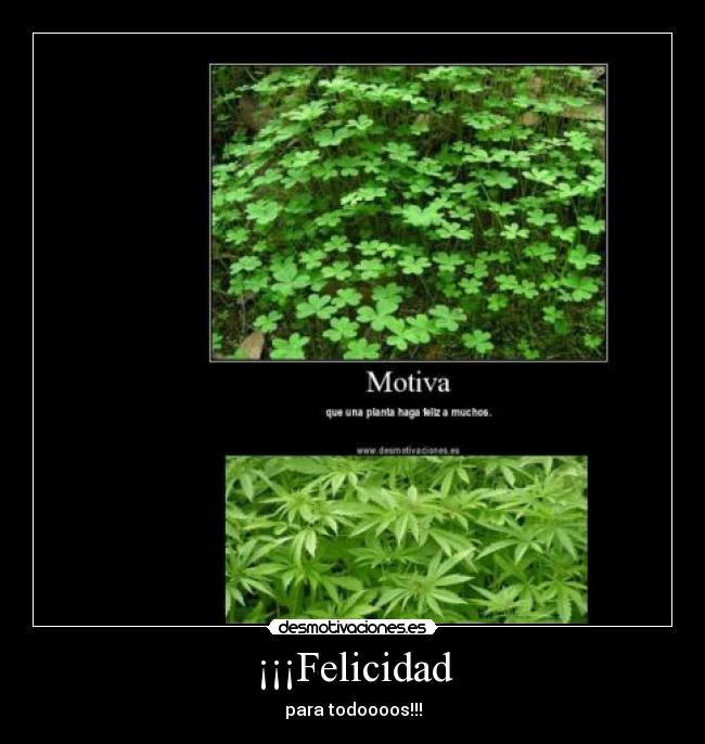 ¡¡¡Felicidad - para todoooos!!!