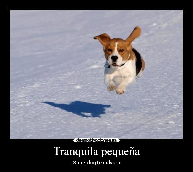 Tranquila pequeña - Superdog te salvara