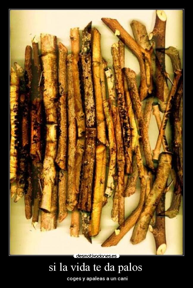 si la vida te da palos  -  coges y apaleas a un cani
