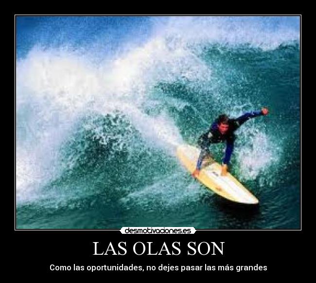 carteles surf desmotivaciones