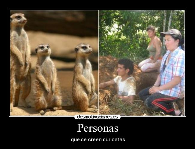 Personas - que se creen suricatas